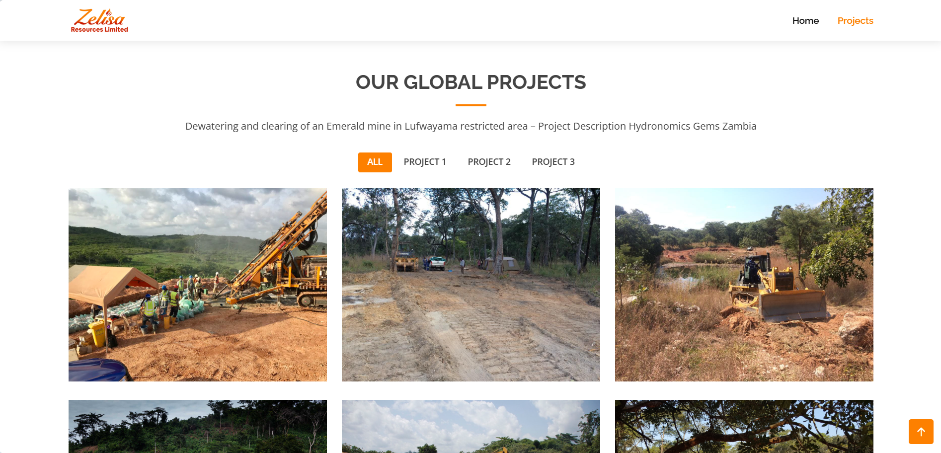 ZELISA Company Website